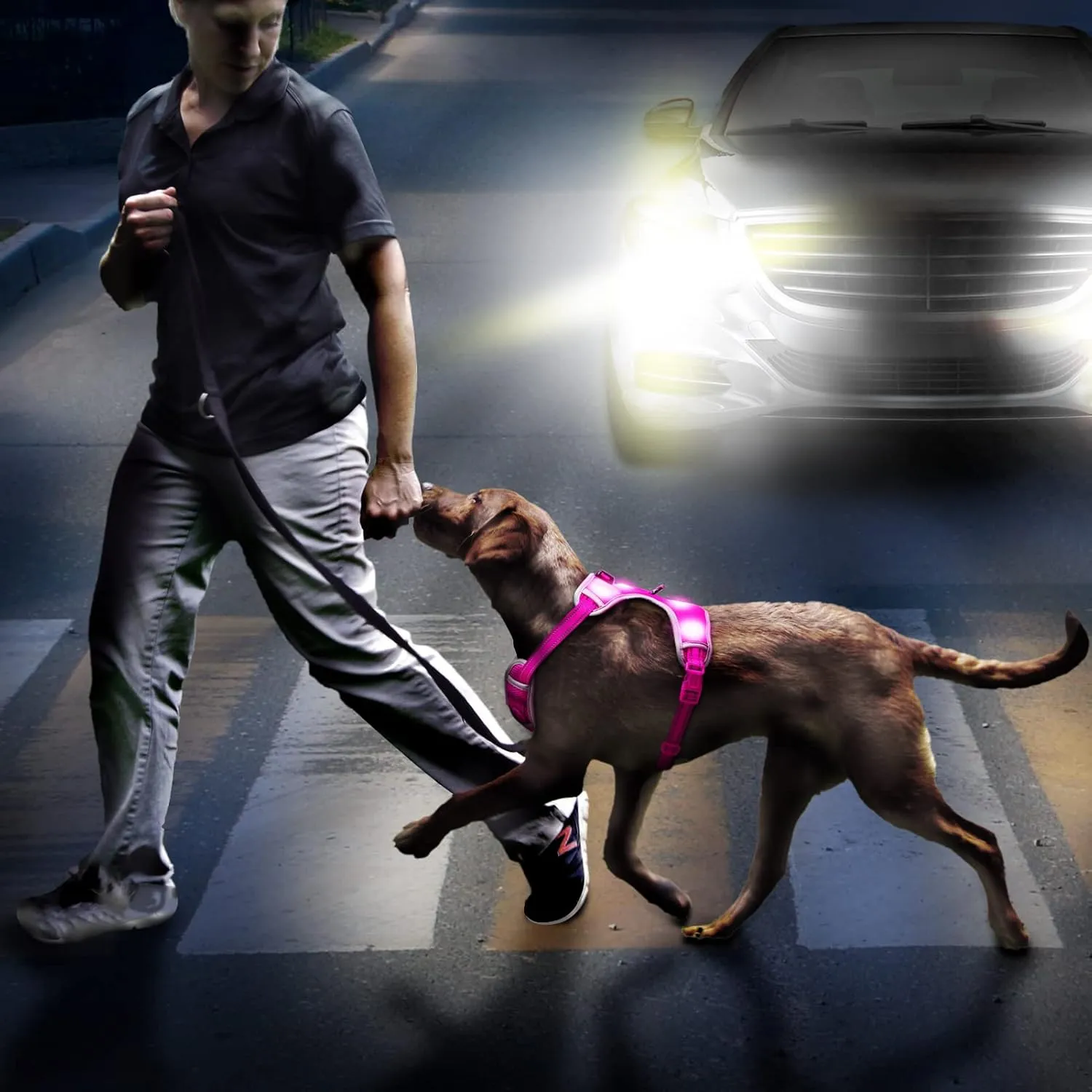 Glow in The Dark Dog Harness USB Rechargeable(Pink, L)