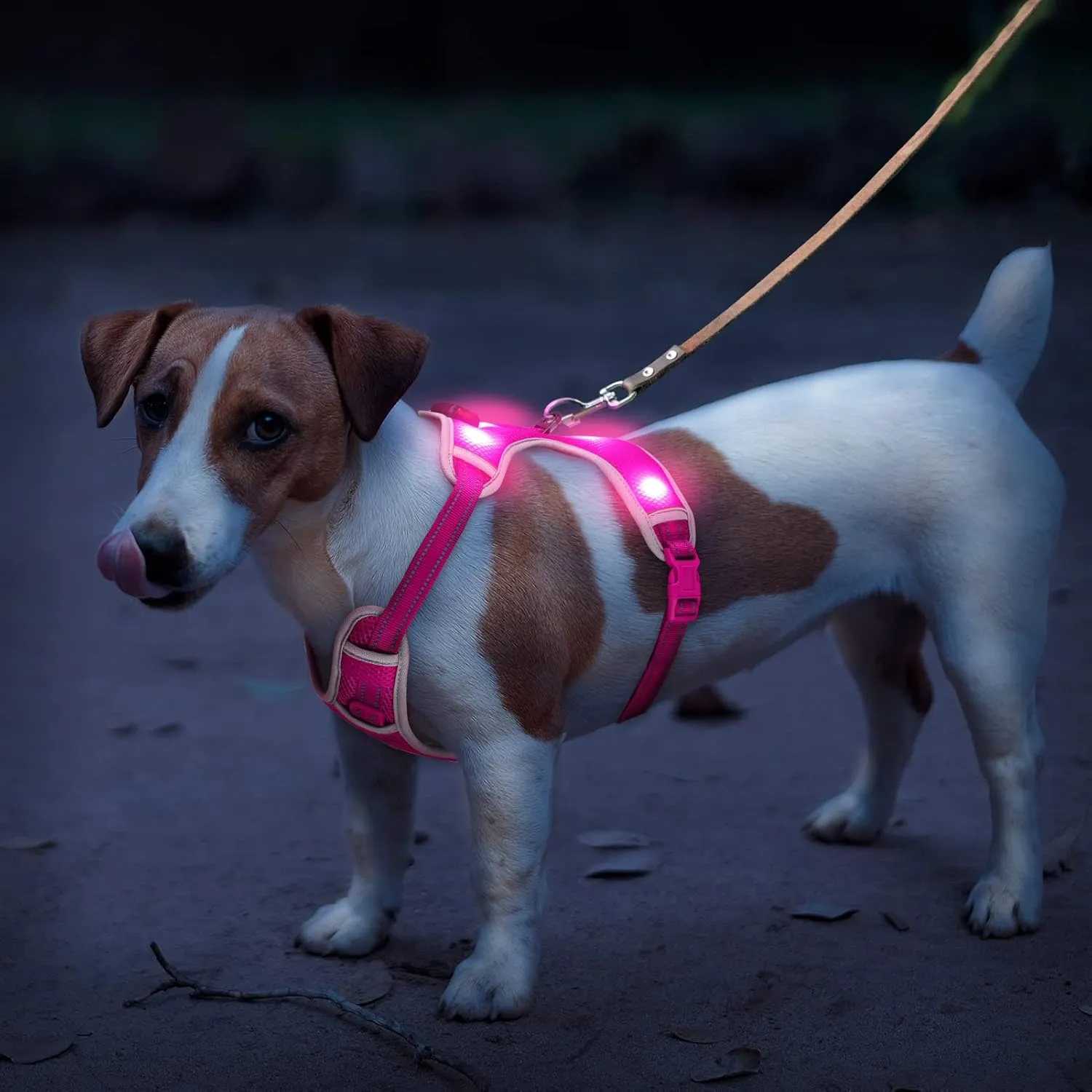 Glow in The Dark Dog Harness USB Rechargeable(Pink, L)