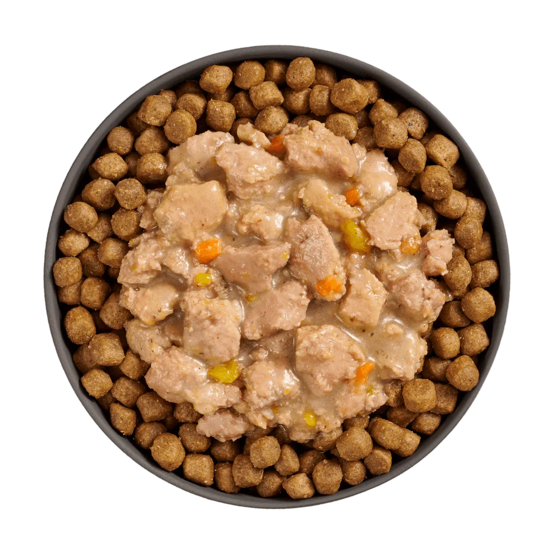 Go! Booster Brain Health Minced Chicken   Salmon with gravy for cats