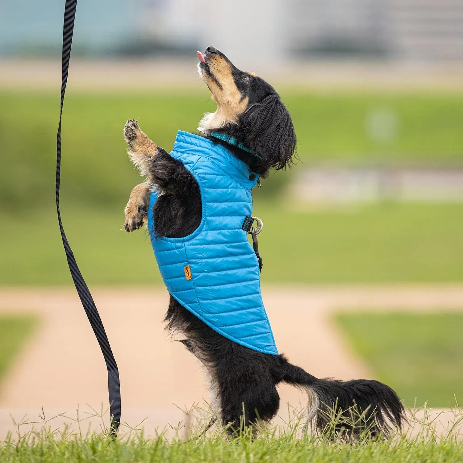Gooby Puffer Vest - Blue, Large - Ultra Thin Zip Up Wind Breaker with Dual D Ring Leash - Water Resistant Small Dog Sweater Coat