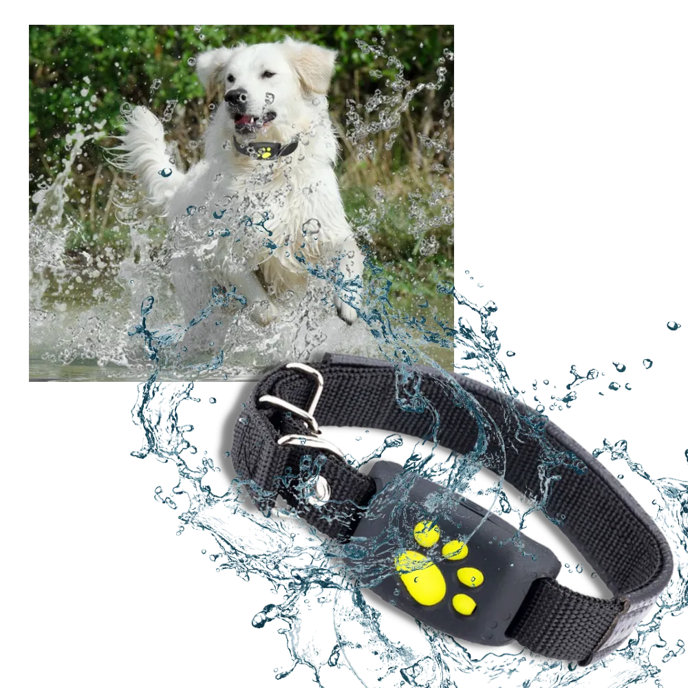 GPS Tracking Collar for Pets