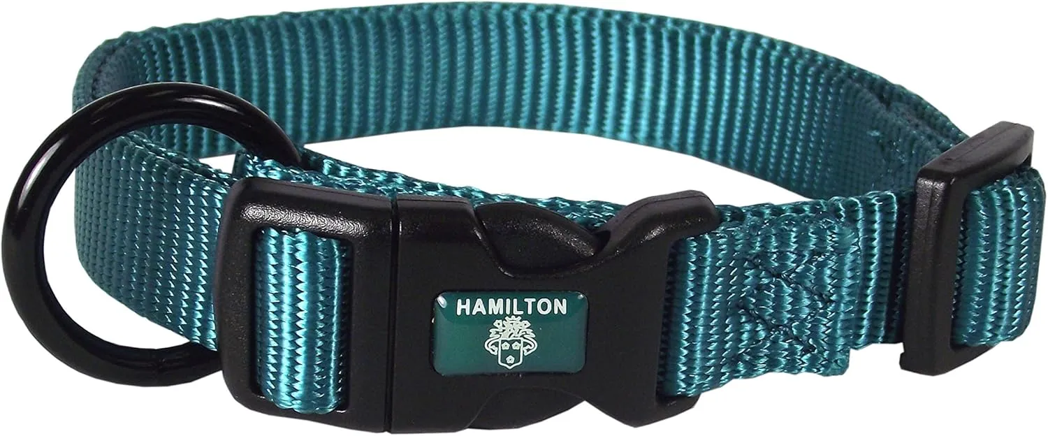 Hamilton Adjustable Nylon Dog Collar, Teal, 3/4" x 16-22"