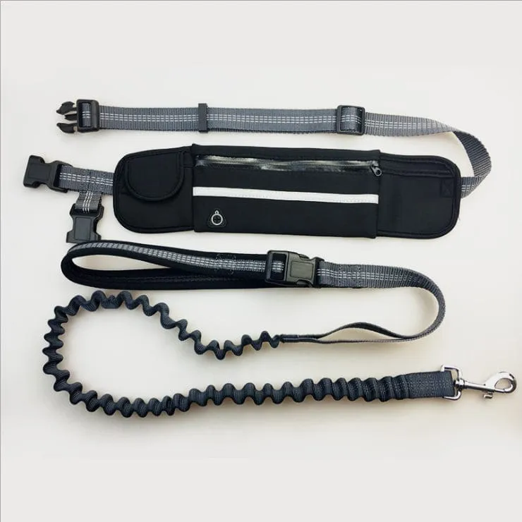 Hands free dog walking leash with running waist pack