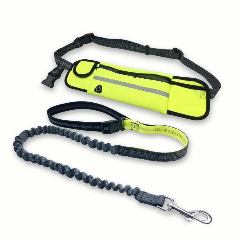 Hands free dog walking leash with running waist pack