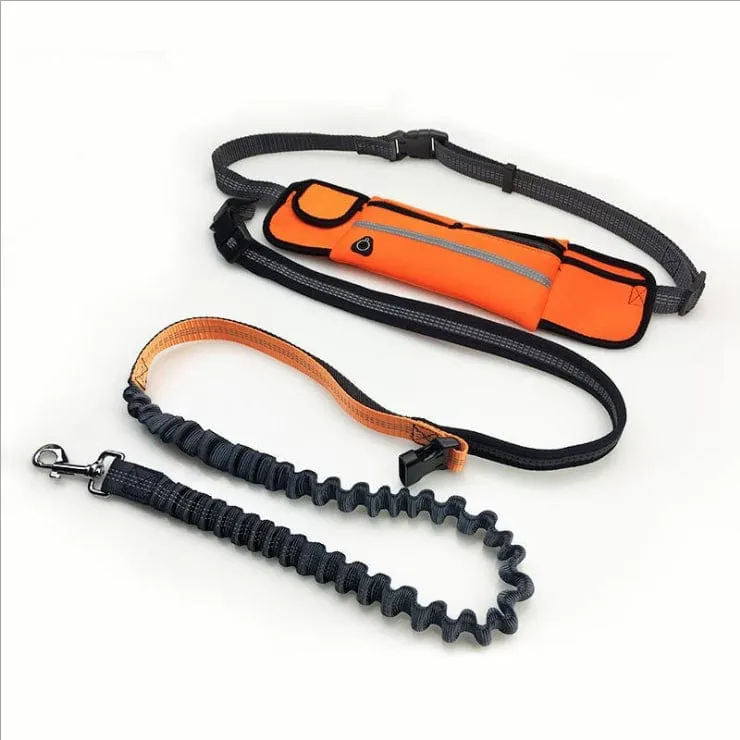 Hands free dog walking leash with running waist pack