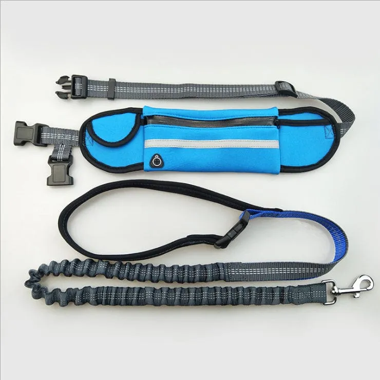 Hands free dog walking leash with running waist pack