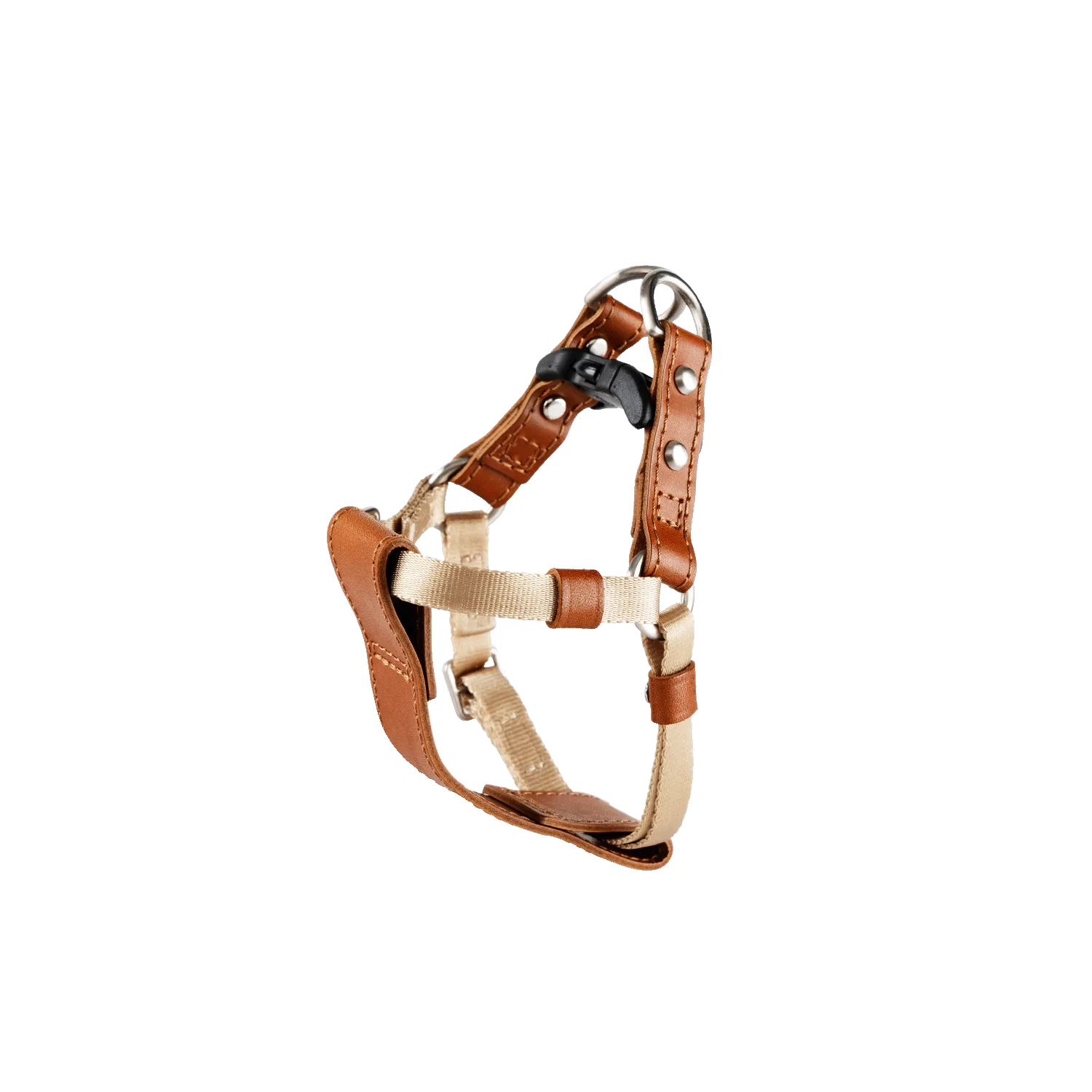 Harness