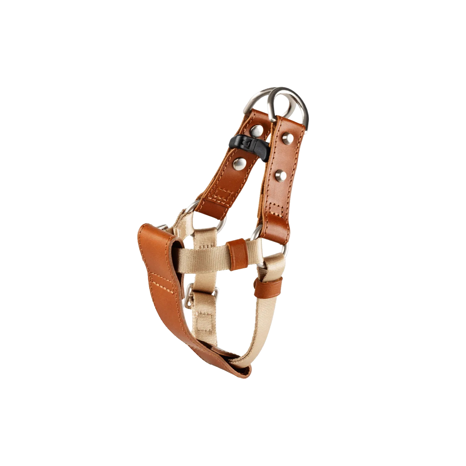 Harness