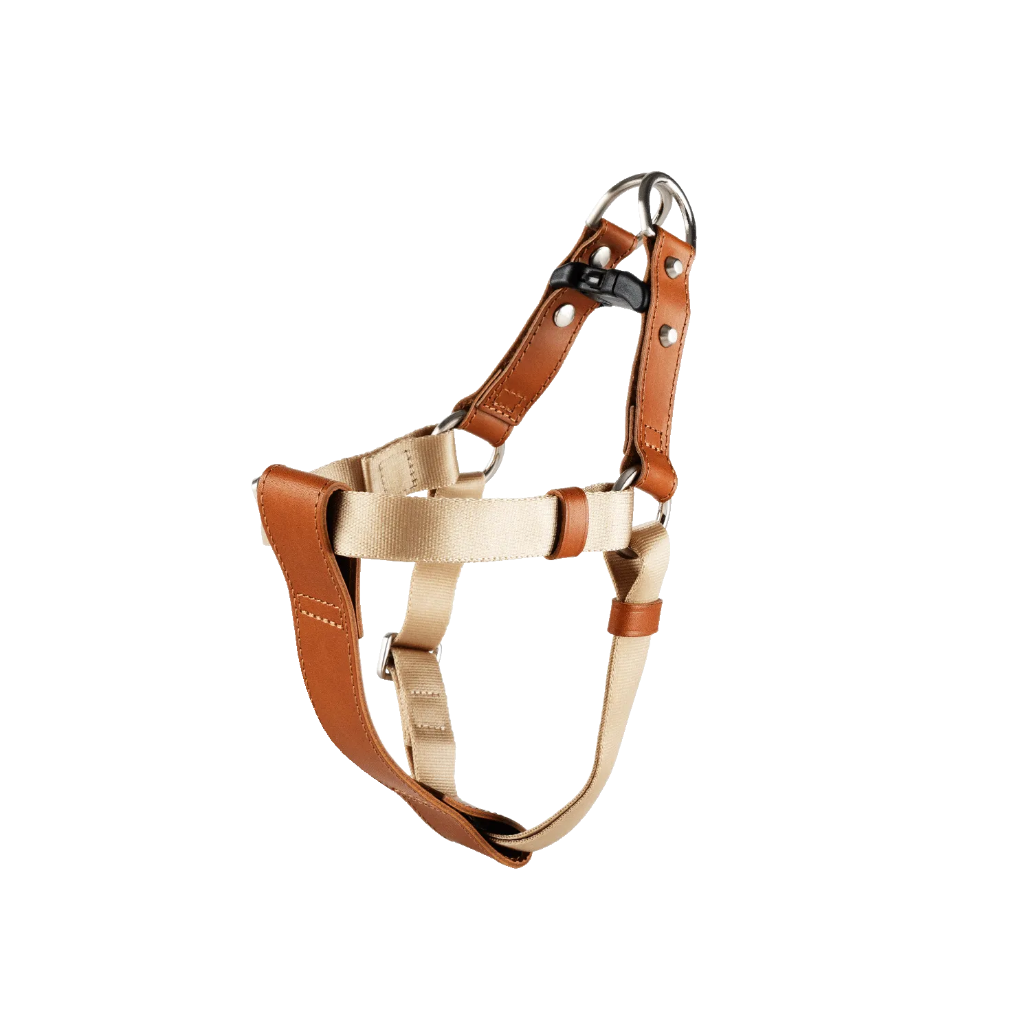 Harness