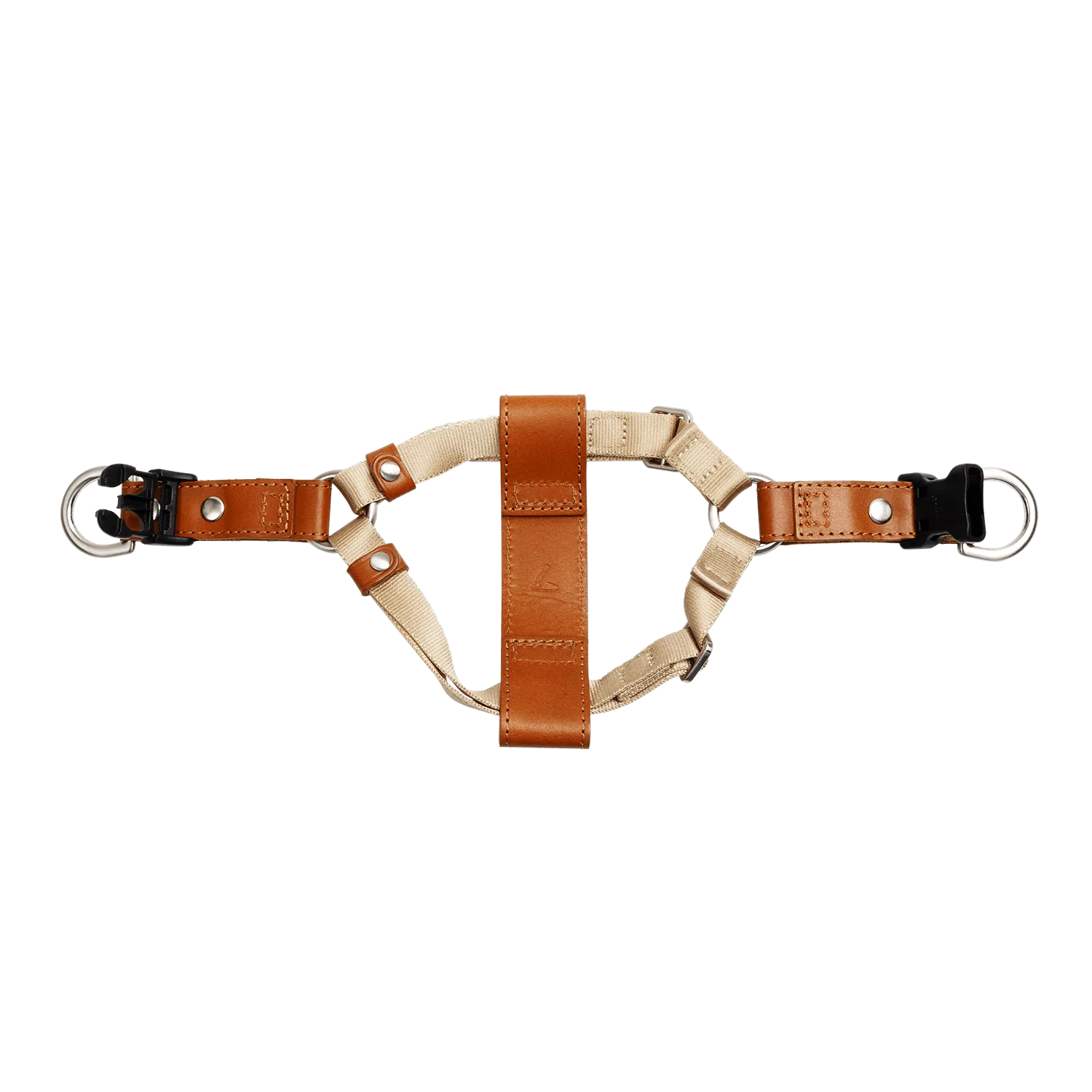 Harness
