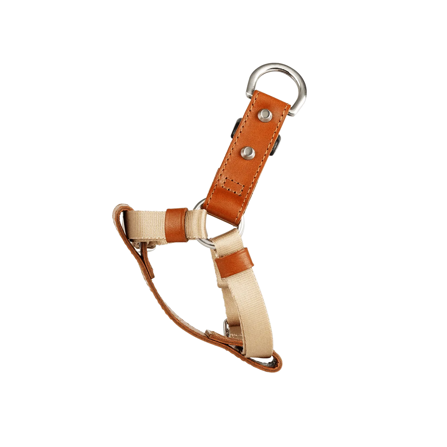 Harness