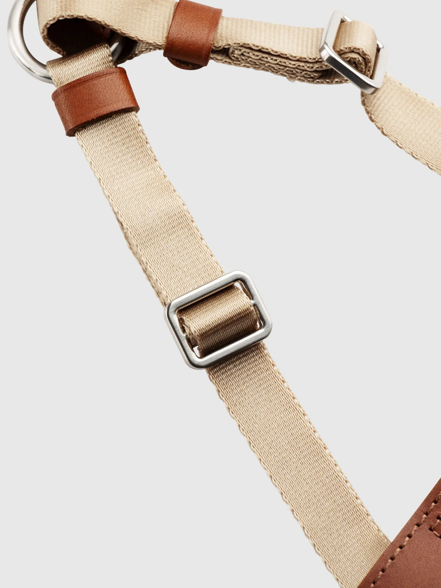 Harness
