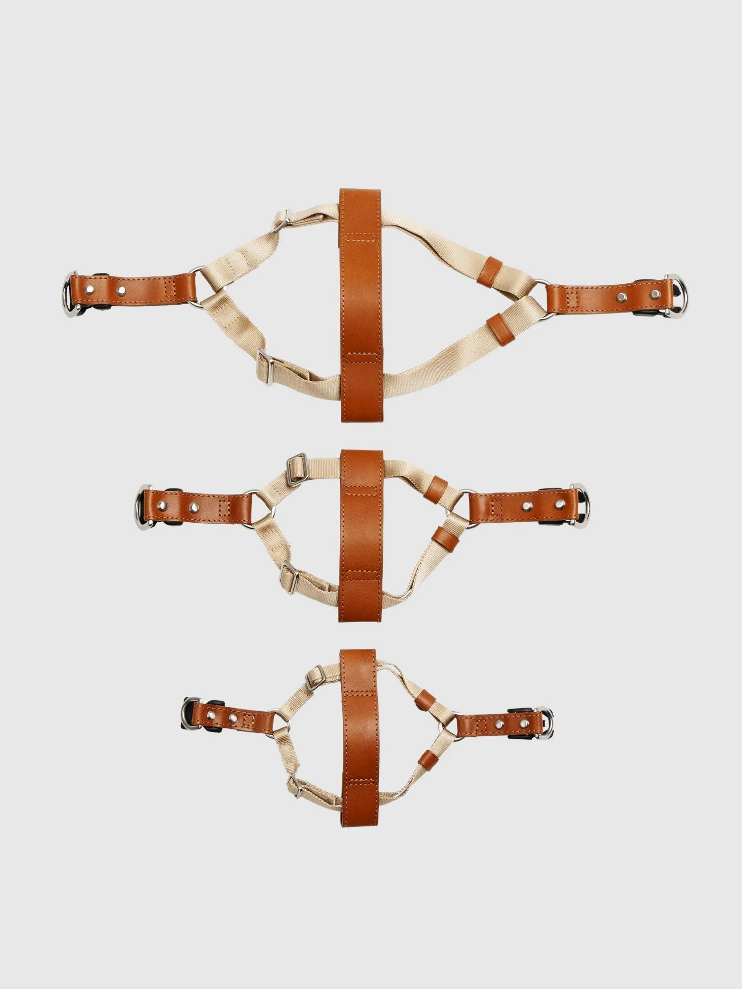 Harness
