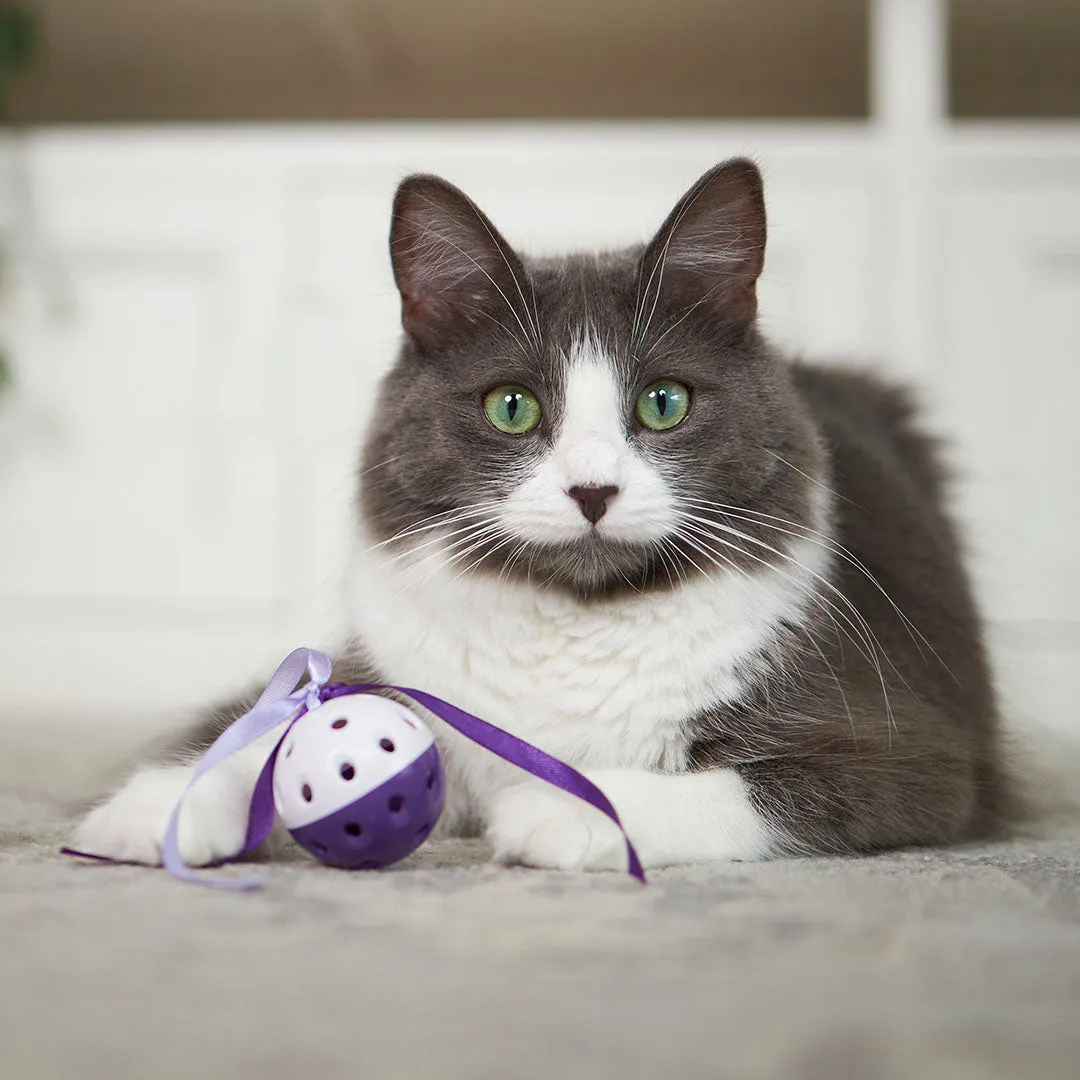 Kitty Streamer Ball