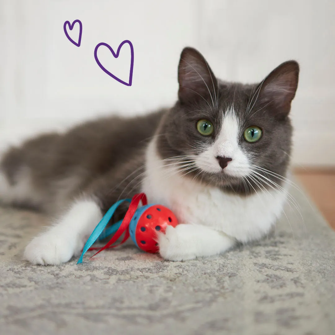 Kitty Streamer Ball