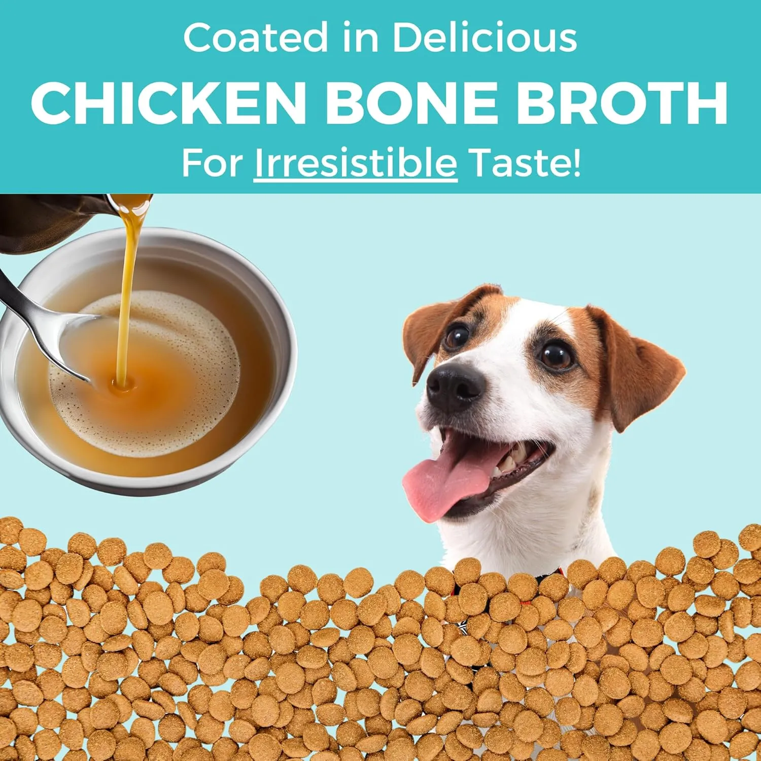 KOHA Limited Ingredient Bland Diet Dry Food for Dogs - Chicken & Brown Rice Recipe, Sensitive Stomach Dog Food - Pumpkin for Digestive Support, 20 lbs