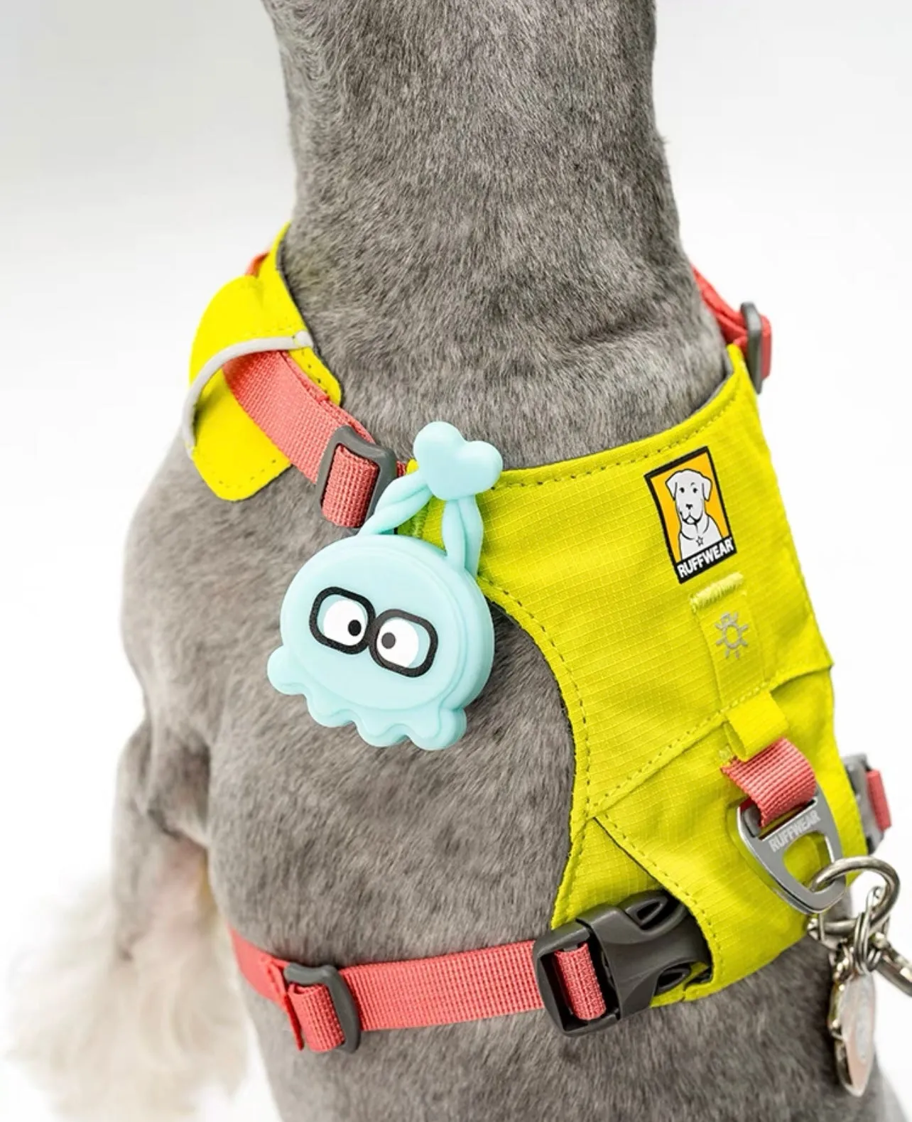 LaRoo Octopus Safety Blinker for Pets - Blue