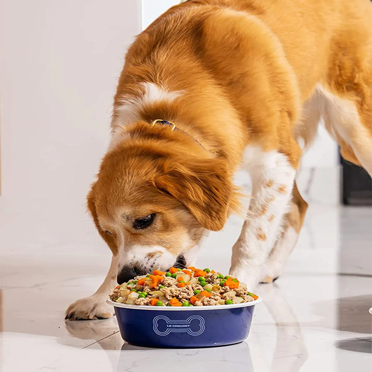 Le Creuset 6 cup Large Dog Bowl - Light Blue