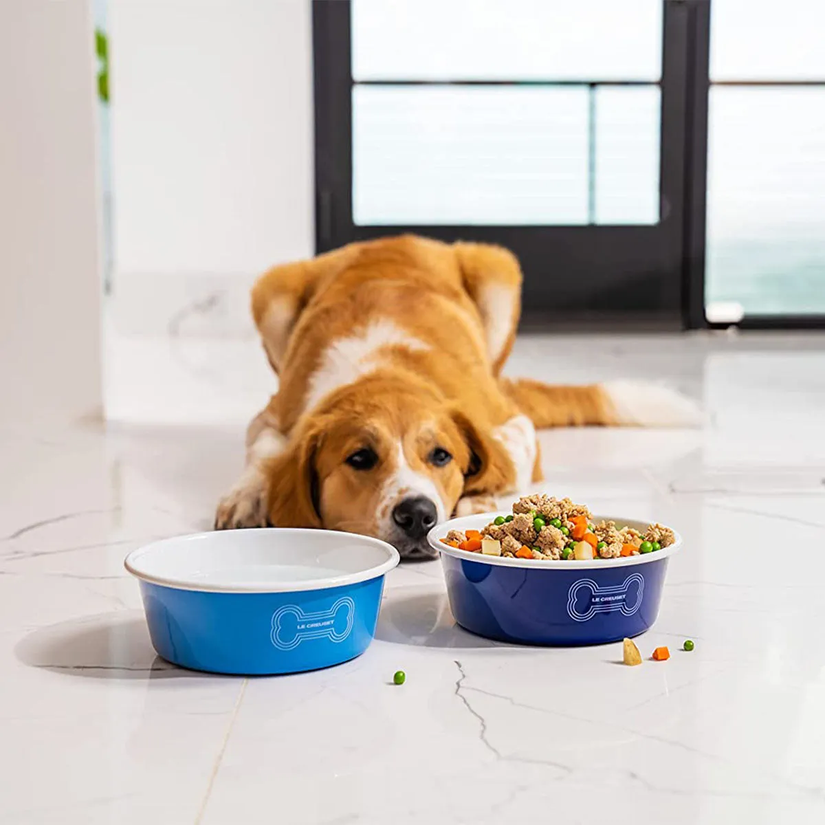 Le Creuset 6 cup Large Dog Bowl - Light Blue