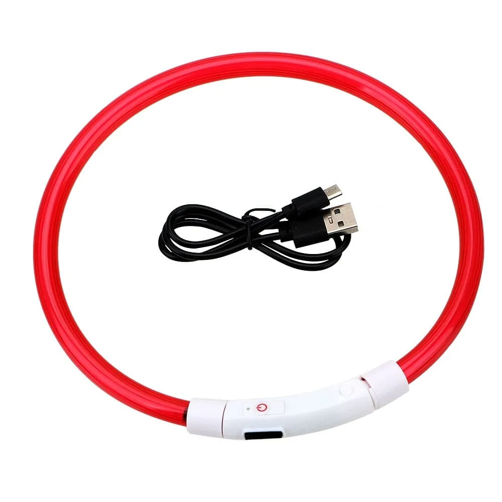 Led Light Dog Collar- USB Charging