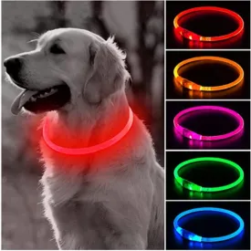 Led Light Dog Collar- USB Charging