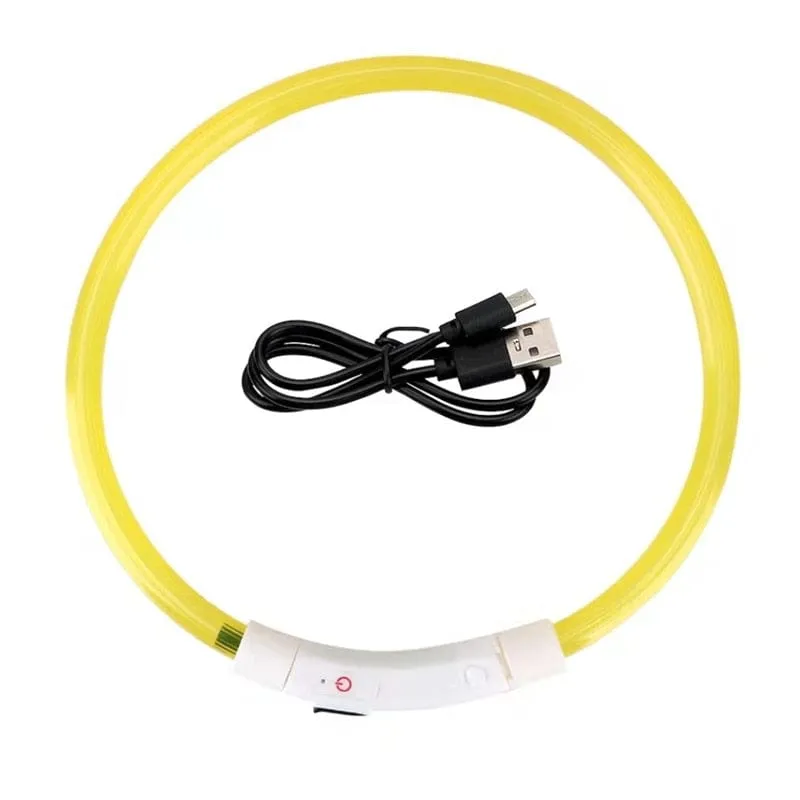 Led Light Dog Collar- USB Charging