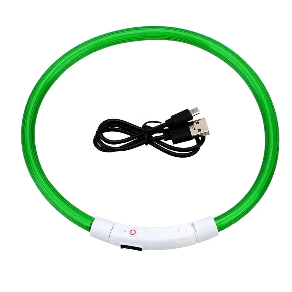 Led Light Dog Collar- USB Charging