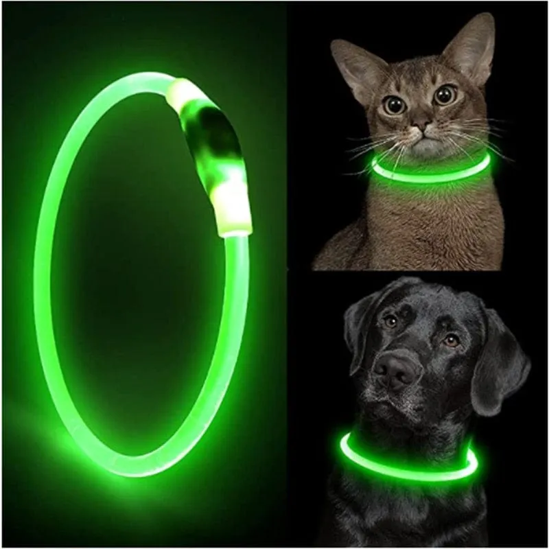 Led Light Dog Collar- USB Charging