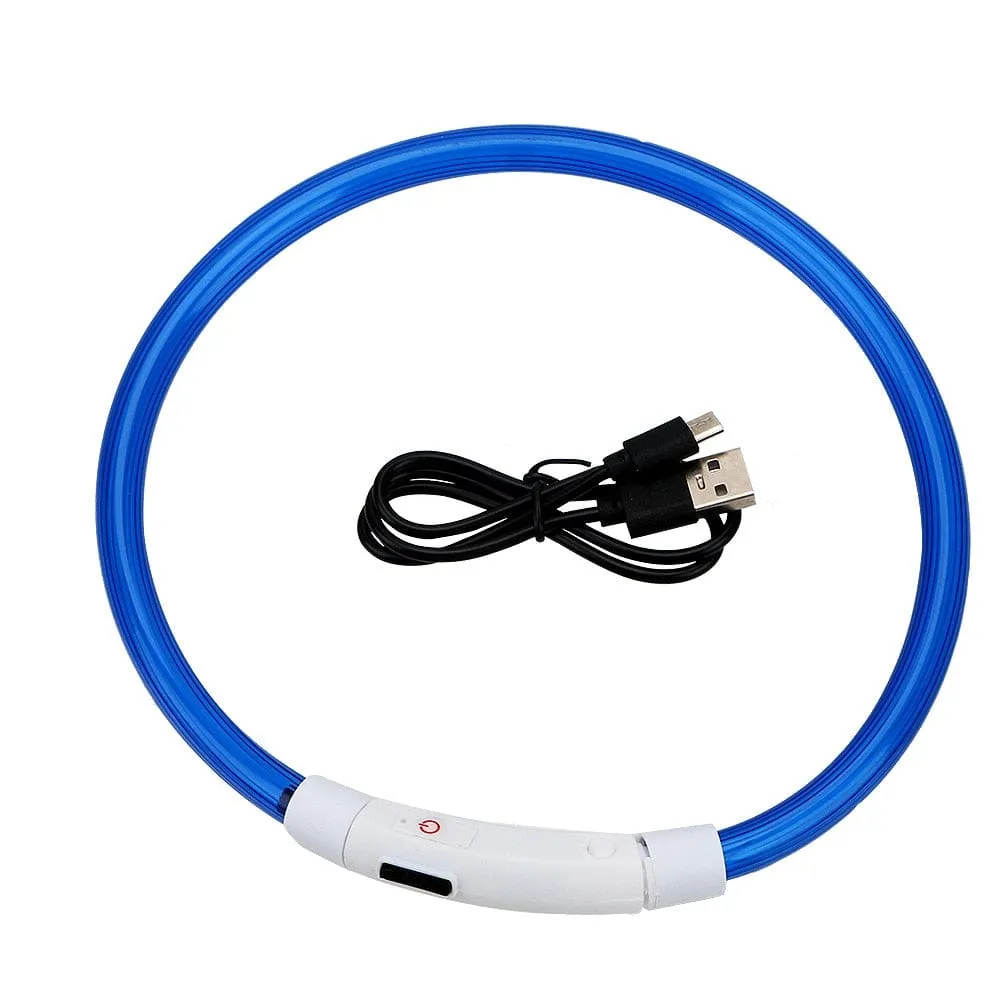 Led Light Dog Collar- USB Charging