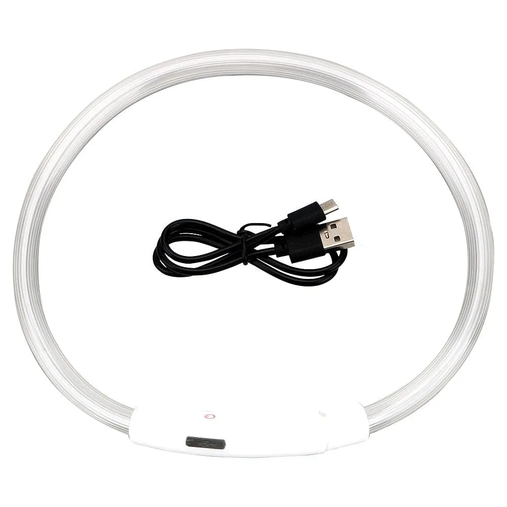 Led Light Dog Collar- USB Charging