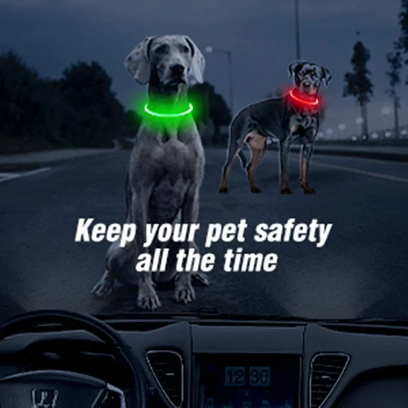 Led Light Dog Collar- USB Charging