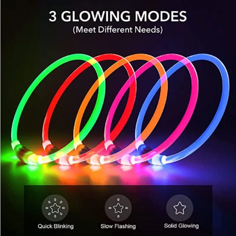 Led Light Dog Collar- USB Charging