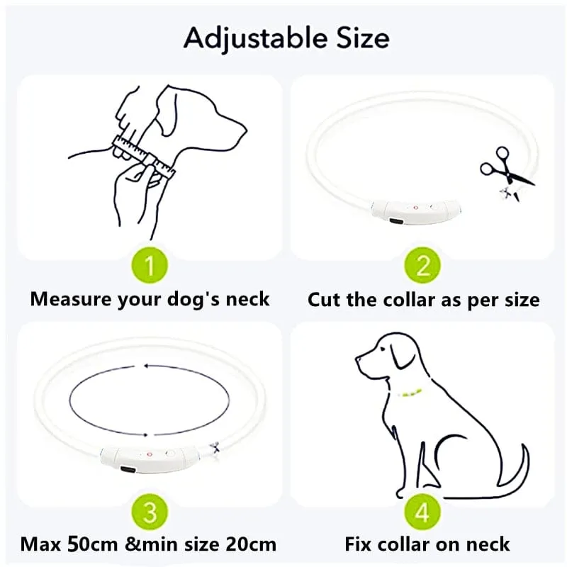 Led Light Dog Collar- USB Charging