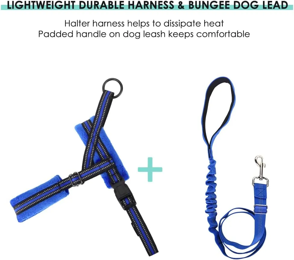 Lukovee Dog Harness and Leash Set, Soft Padded Adjustable Reflective Vest With 4ft Lightweight Anti-Twist Leash for Small Dogs (Small, Blue)