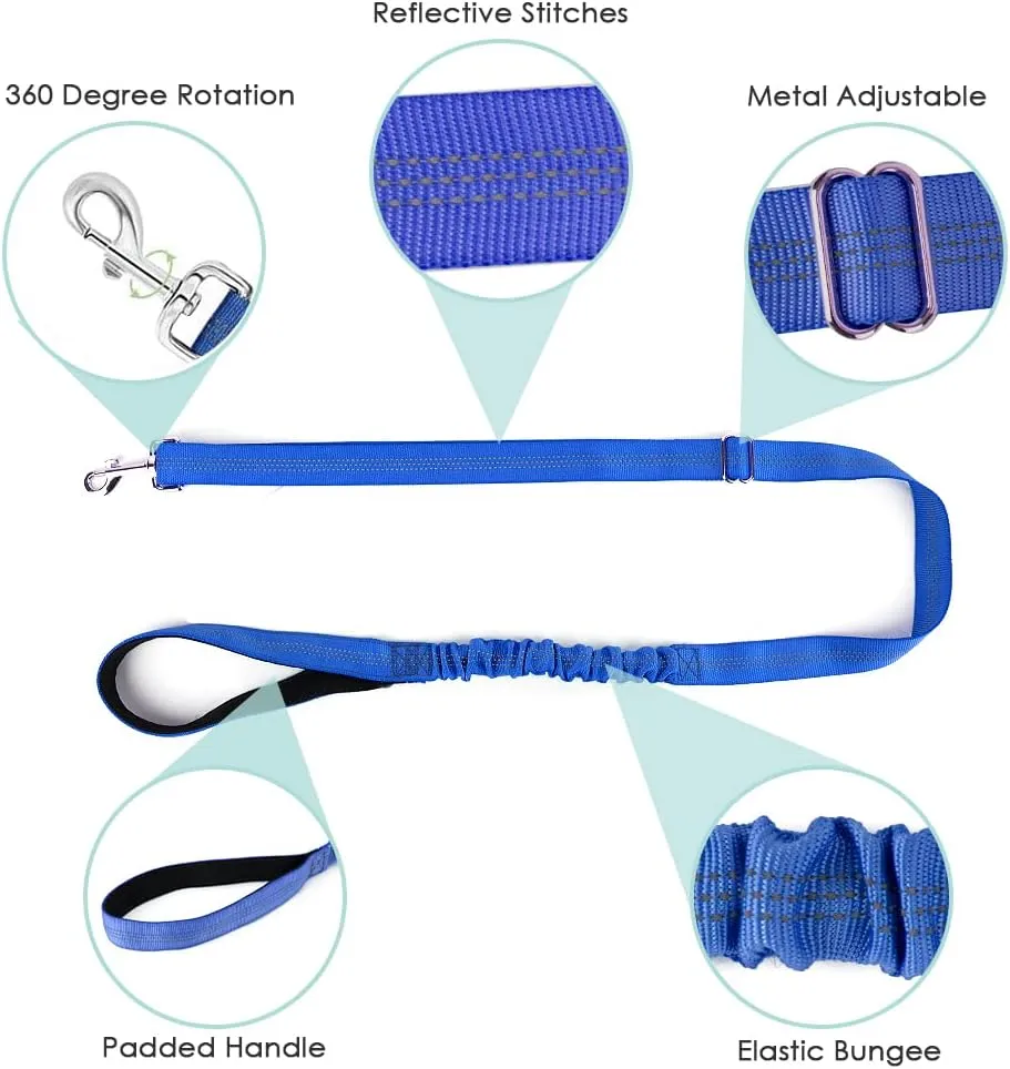 Lukovee Dog Harness and Leash Set, Soft Padded Adjustable Reflective Vest With 4ft Lightweight Anti-Twist Leash for Small Dogs (Small, Blue)