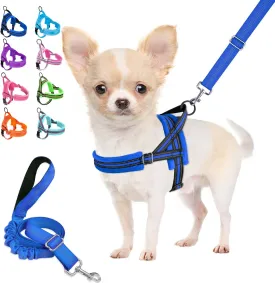 Lukovee Dog Harness and Leash Set, Soft Padded Adjustable Reflective Vest With 4ft Lightweight Anti-Twist Leash for Small Dogs (Small, Blue)