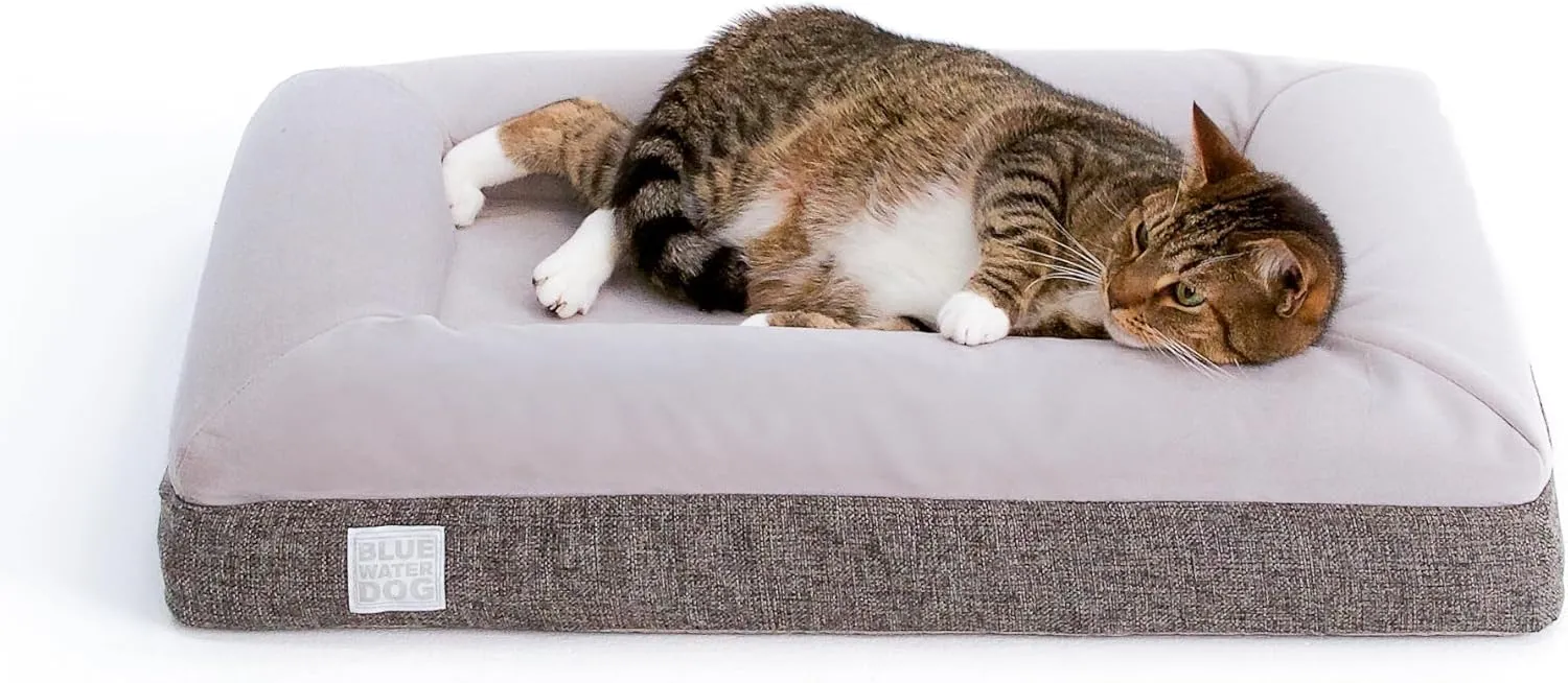 Luxury Essential Orthopedic Memory Foam Dog Bed with Waterproof Liner and Machine Washable Cover with YKK Zippers (Small 29" L x 23" W x 6" Th)