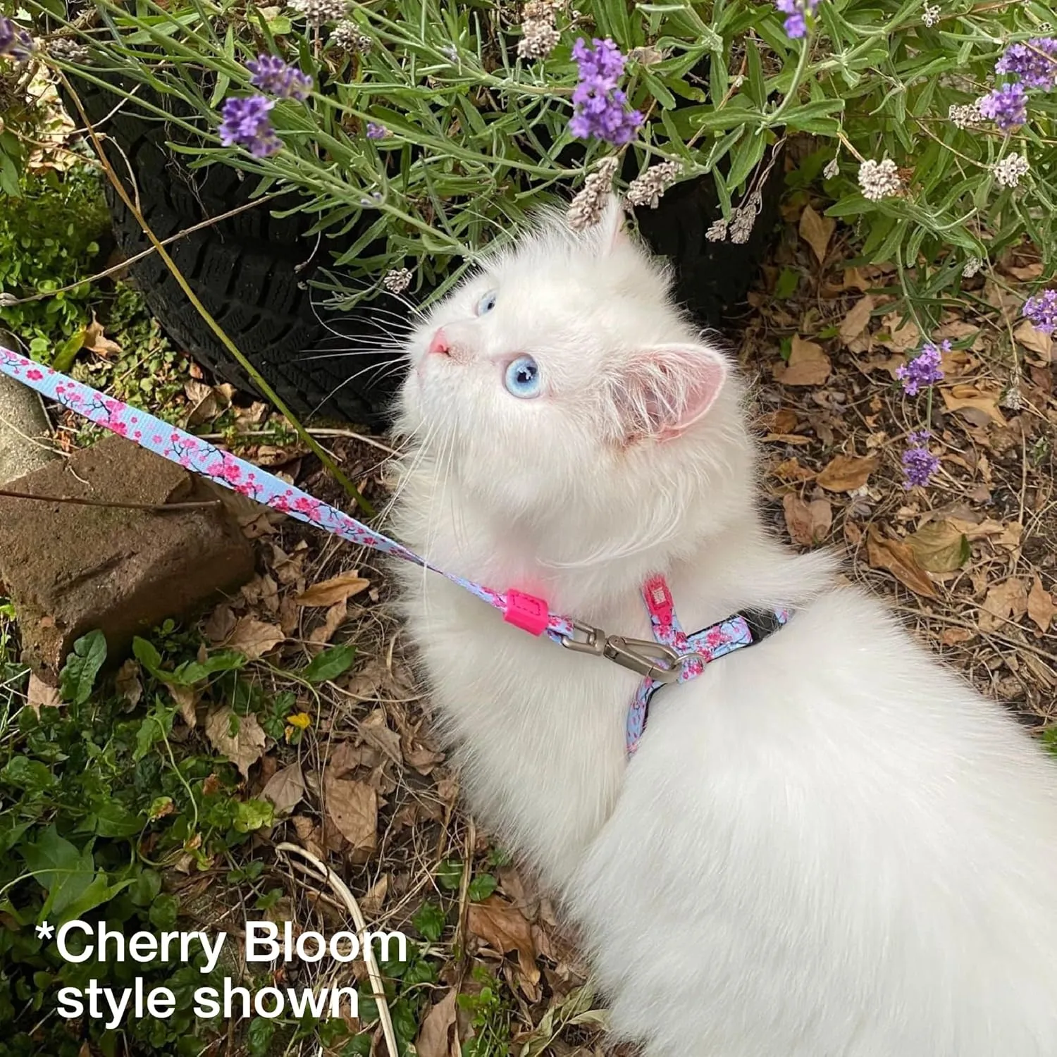 Max and Molly Adjustable Cat Harness and Leash Set - Escape-Proof Cat Harness with Leash for Outdoor Walking and Exploring, Soft Paded Material (Strawberry Dream)
