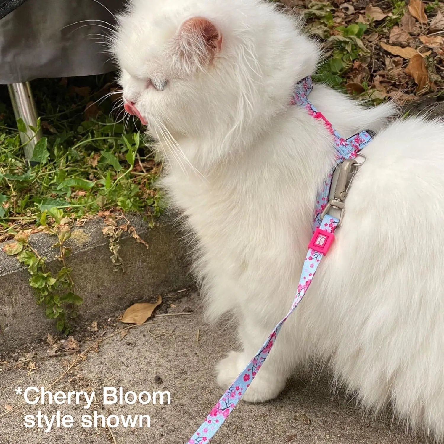 Max and Molly Adjustable Cat Harness and Leash Set - Escape-Proof Cat Harness with Leash for Outdoor Walking and Exploring, Soft Paded Material (Strawberry Dream)