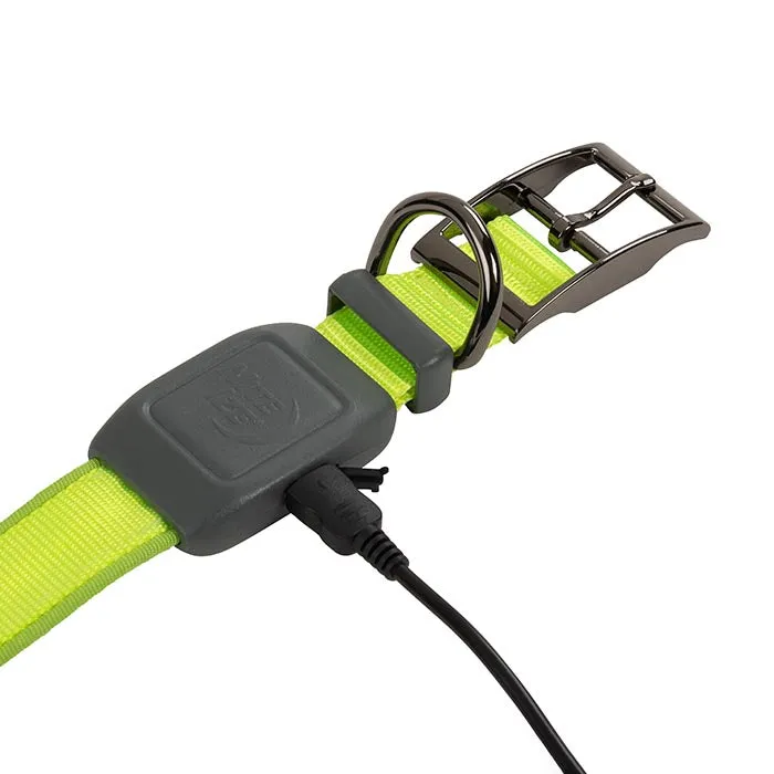 Nite Ize NiteDog Rechargeable LED Collar - Large