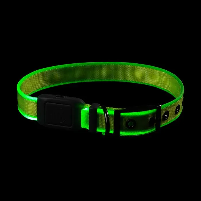 Nite Ize NiteDog Rechargeable LED Collar - Large