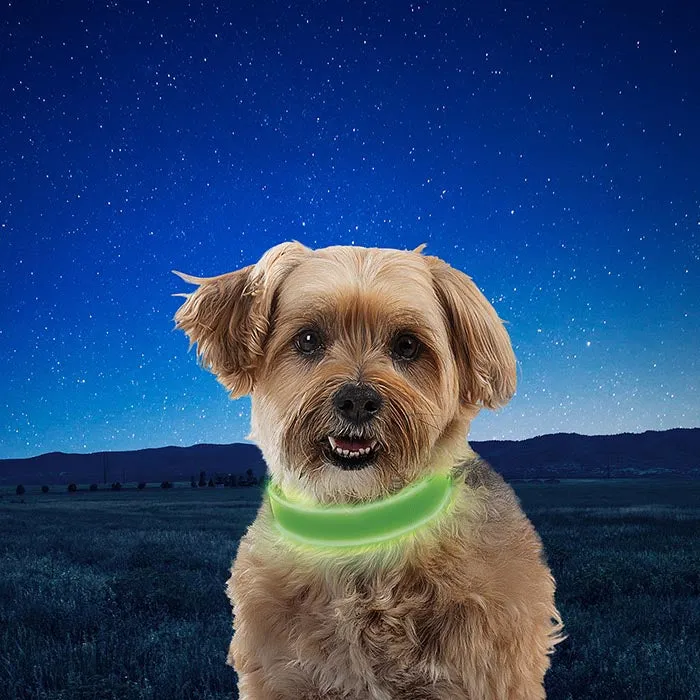 Nite Ize NiteDog Rechargeable LED Collar - Large