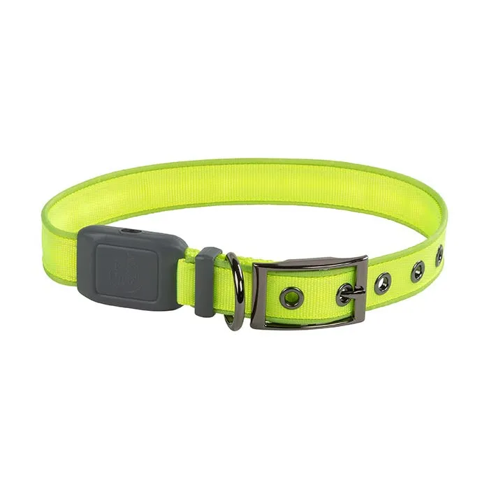 Nite Ize NiteDog Rechargeable LED Collar - Large