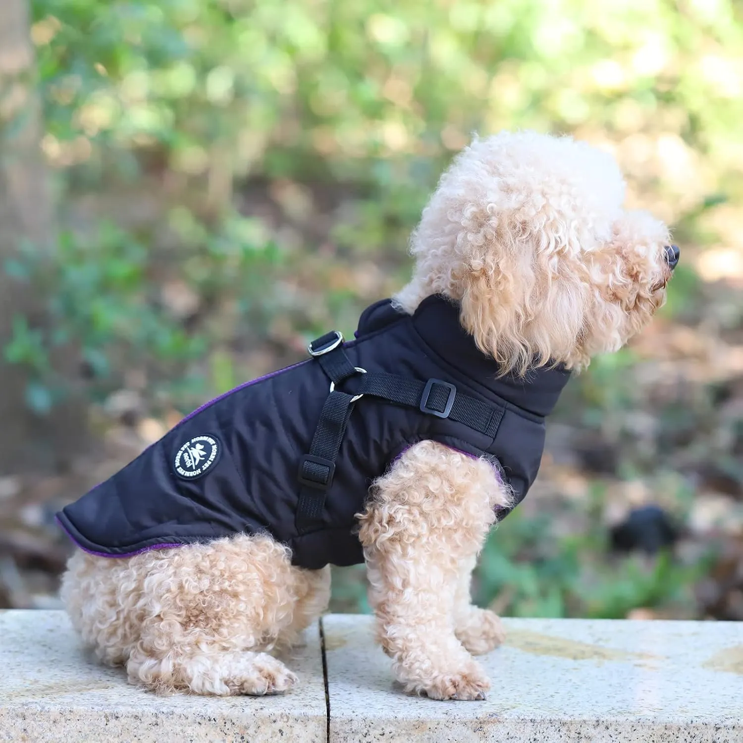 Norbi Winter Dog Jacket with Built-in Harness - Adjustable Warm Coats for Small, Medium, Large Dogs - Cold Weather Protection