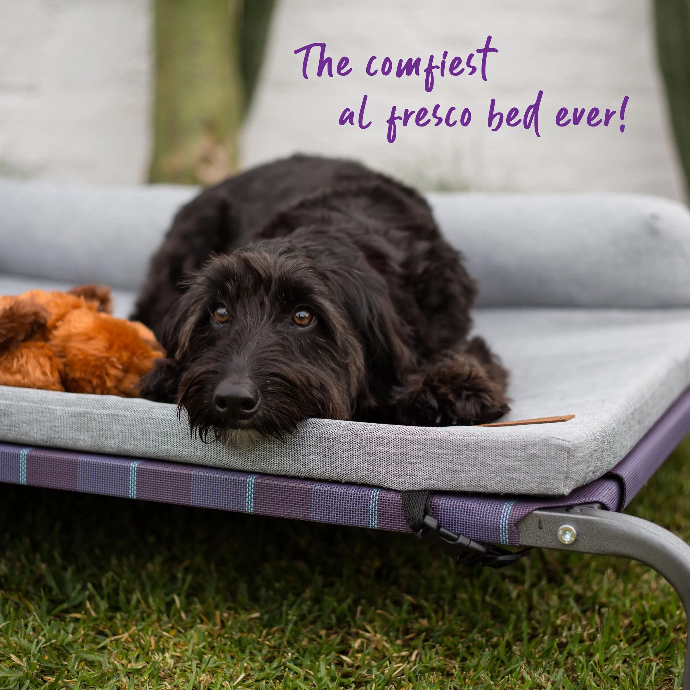 Outdoor Lounge Dog Bed Topper - Ash