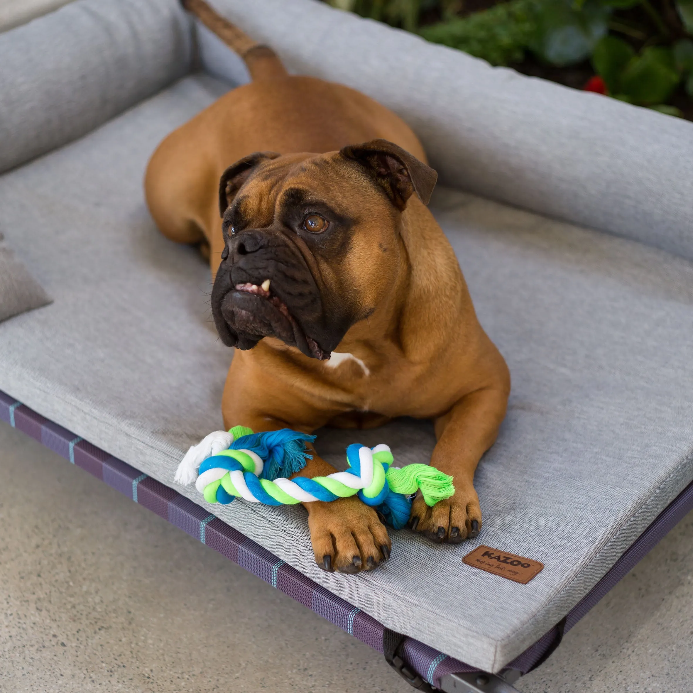 Outdoor Lounge Dog Bed Topper - Ash