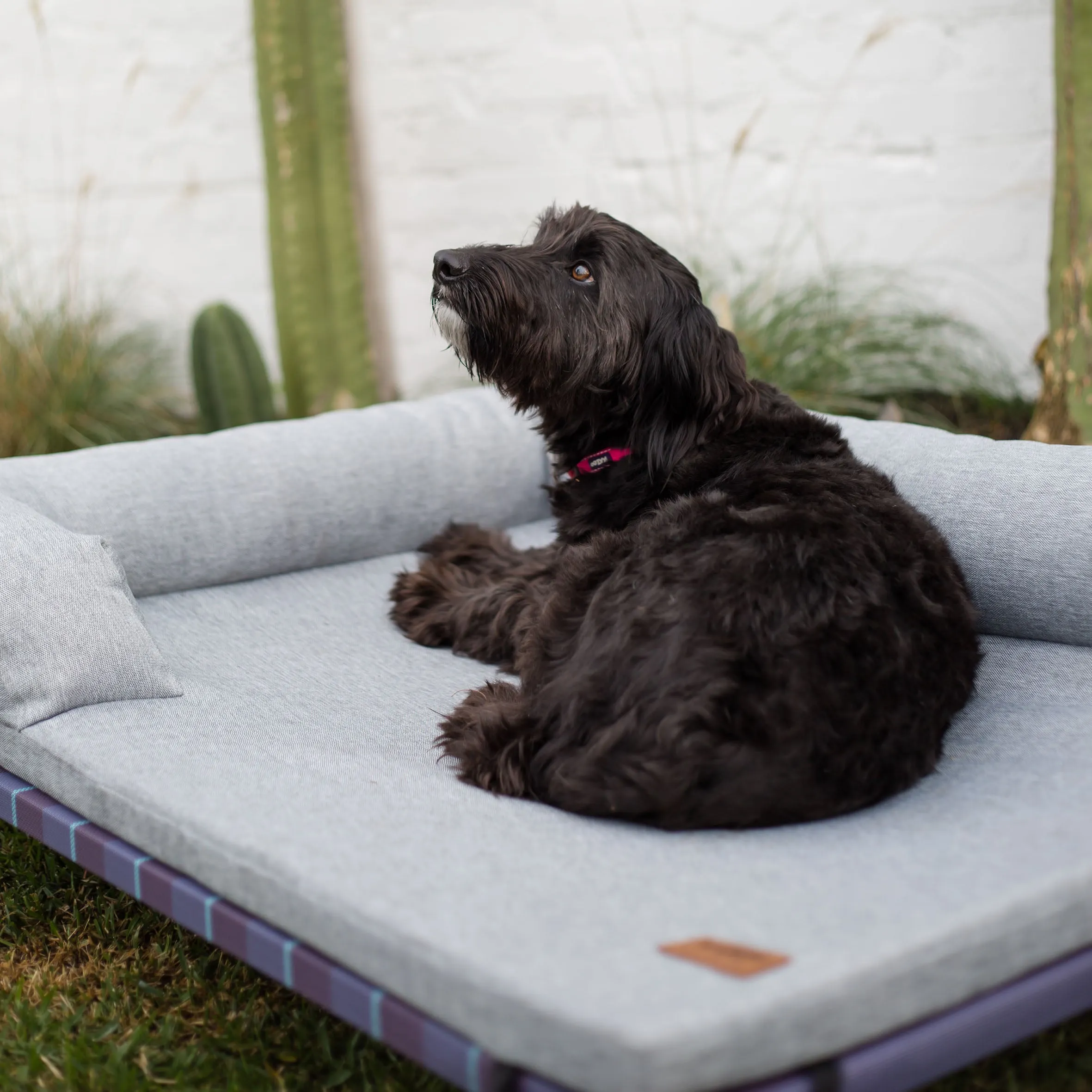 Outdoor Lounge Dog Bed Topper - Ash
