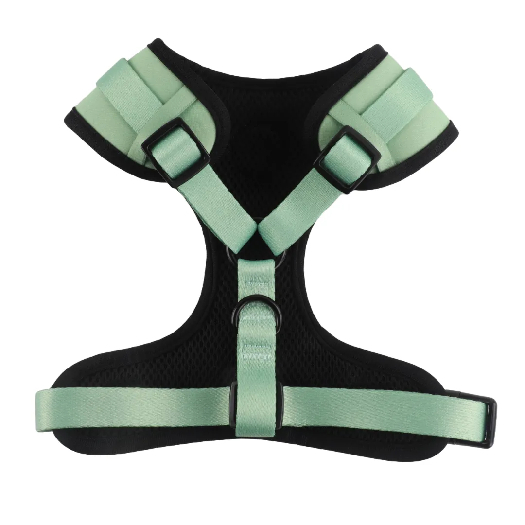 Padded slip on Harness - Peppermint