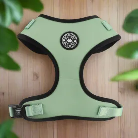 Padded slip on Harness - Peppermint