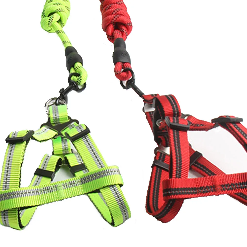 PAWS ASIA Lazada Hot Popular Nylon Safety Training Personalized Comfort Vest With Dog Leash Rope